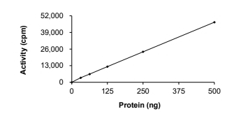 DDR2 Protein, Human, Recombinant (T654M, GST)