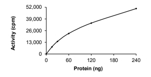 DDR1 Protein, Human, Recombinant (GST)