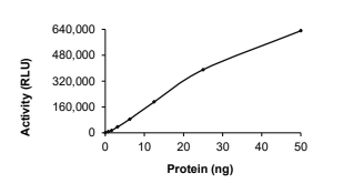 ALK Protein, Human, Recombinant (L1196M, GST)