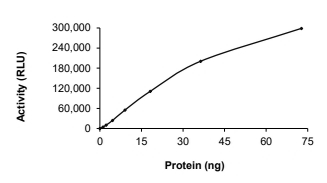 DDR2 Protein, Human, Recombinant (GST)