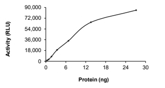 KLC1-ALK Protein, Human, Recombinant (Kex8Aex20, GST)