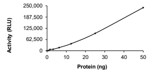 KIF5B-ALK Protein, Human, Recombinant (Kex24Aex20, GST)