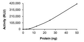 AURORA B, Human, Recombinant (G160L, GST)