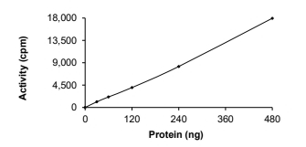 DCLK1 Protein, Human, Recombinant (aa 266-740, GST)
