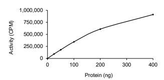 Chk1 Protein, Human, Recombinant (His)