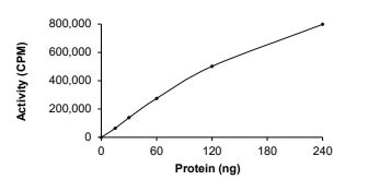 ALK Protein, Human, Recombinant (L1196M, GST)