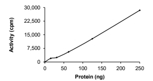 EML4-ALK Protein, Human, Recombinant (Eex20Aex20, GST)