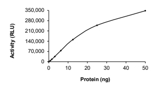 ALK Protein, Human, Recombinant (G1269S, GST)