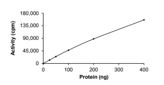 DDR2 Protein, Human, Recombinant (GST)