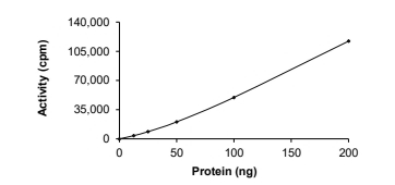 ALK Protein, Human, Recombinant (G1269S, GST)