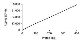 CDK9 & Cyclin K Protein, Human, Recombinant (GST)