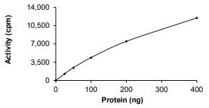 DDR1 Protein, Human, Recombinant (S496A, GST)