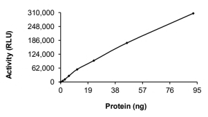 CDK9 & Cyclin T2 Protein, Human, Recombinant (GST)