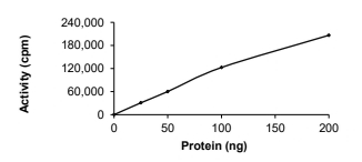 AURORA A, Mouse, Recombinant (GST)