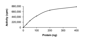 DCAMKL2/DCLK2 Protein, Human, Recombinant (GST)