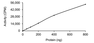 DMPK Protein, Human, Recombinant (GST)