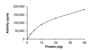 RNF130-BRAF Protein, Human, Recombinant (GST)
