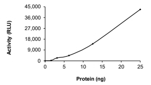 ALK-1 Protein, Human, Recombinant (GST)