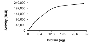 EGFR Protein, Human, Recombinant (aa 668-1210, GST)