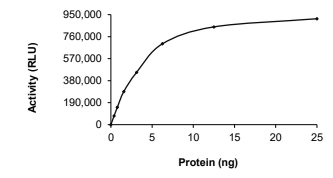 AKT3 Protein, Human, Recombinant (Active, GST)