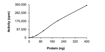 CDK3 & Cyclin E1 Protein, Human, Recombinant (GST)