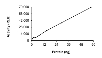 AAK1 Protein, Human, Recombinant (GST)