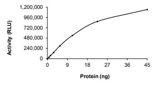 AKT1 Protein, Human, Recombinant (E17K, GST)