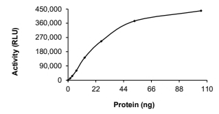 BMX Protein, Human, Recombinant (GST)
