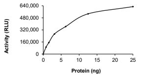 AKT2 Protein, Human, Recombinant (GST)