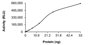CDK5 & p35 Protein, Human, Recombinant (GST)