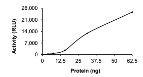 ANKK1 Protein, Human, Recombinant (GST)