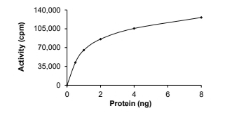 BRAF/B-Raf Protein, Human, Recombinant (V600A, GST)