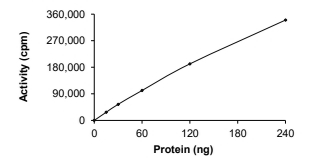 AURORA A, Human, Recombinant (GST)