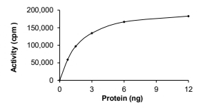FAM131B-BRAF Protein, Human, Recombinant (GST)