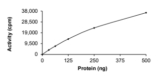 ALK-2/ACVR1 Protein, Human, Recombinant (R206H, GST)