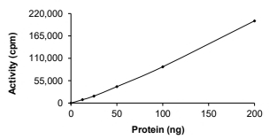 ALK Protein, Human, Recombinant (C1156Y, GST)