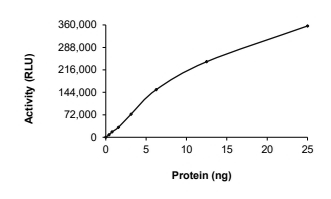 CDK3 & Cyclin E1 Protein, Human, Recombinant (GST)