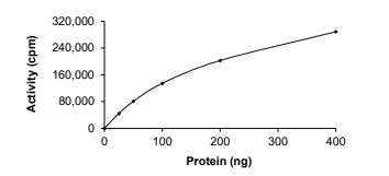 AKT2 Protein, Human, Recombinant (E17K, GST)
