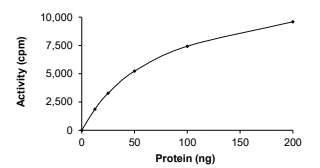 ANKK1 Protein, Human, Recombinant (GST)
