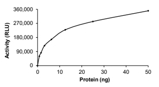 SRGAP3-BRAF Protein, Human, Recombinant (GST)