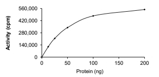 AKT3 Protein, Human, Recombinant (E17K, GST)