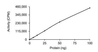 AKT3 Protein, Human, Recombinant (Active, GST)