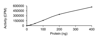 EphA3 Protein, Human, Recombinant (GST)