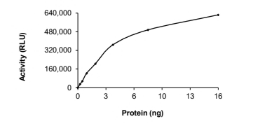 C-ABL/ABL1 Protein, Mouse, Recombinant (His)