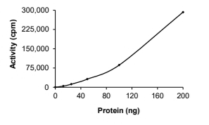 CDK2 & Cyclin A1 Protein, Human, Recombinant (GST)