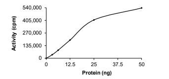 ABL2 Protein, Human, Recombinant (His)