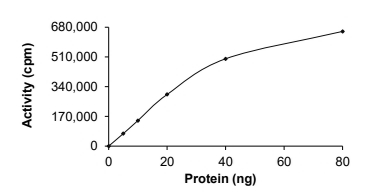 C-ABL/ABL1 Protein, Human, Recombinant (E255V, His)
