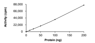 ALK Protein, Human, Recombinant (T1151M, GST)