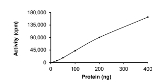 GRK3 Protein, Human, Recombinant (GST)