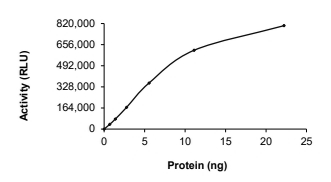 CDK1 & Cyclin A2 Protein, Human, Recombinant (GST)